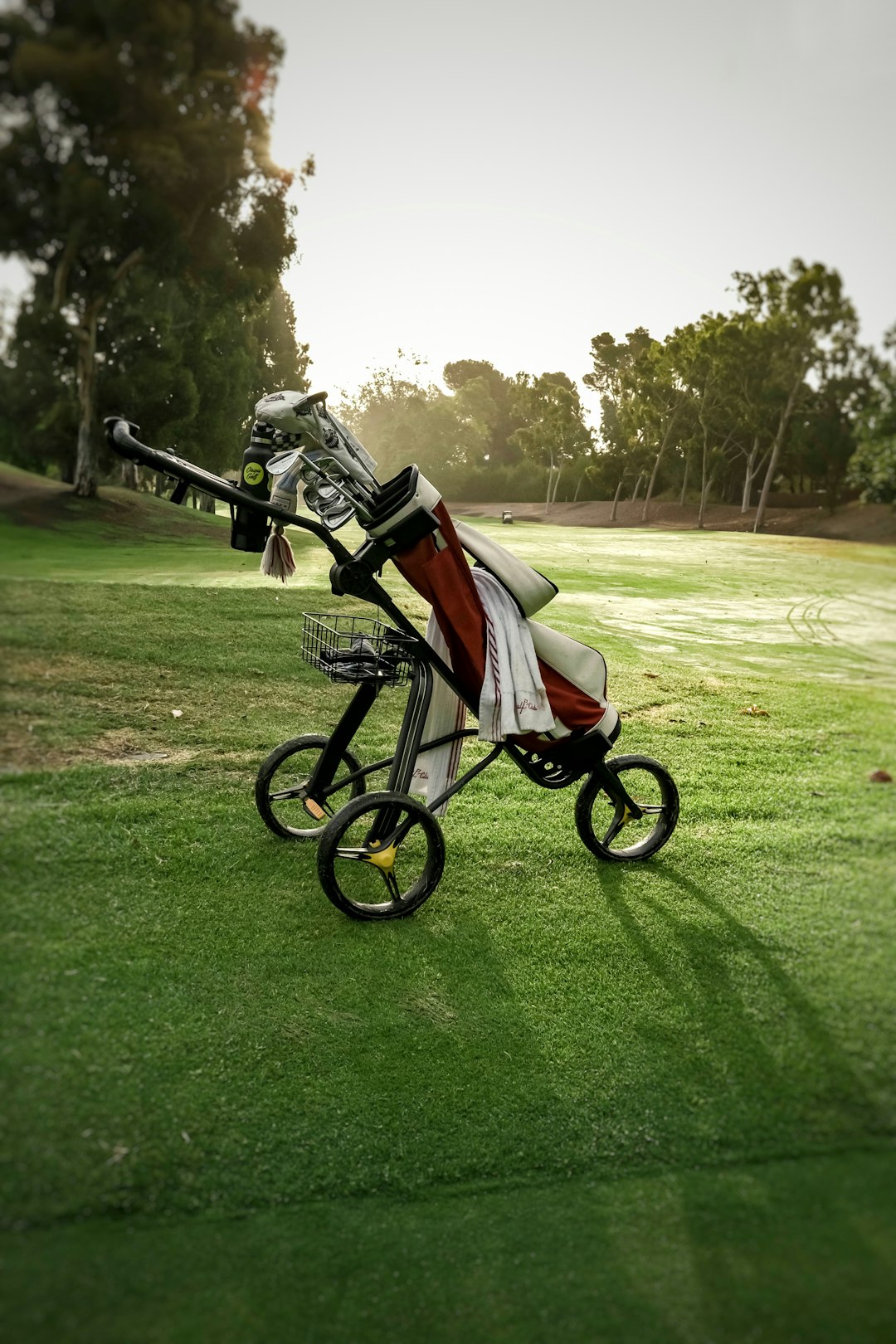 Home Push Cart Mafia